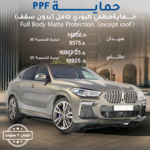 Full Body Matte Protection (except roof)