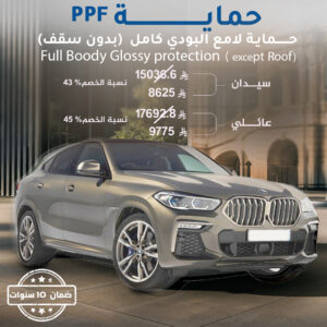 Full Body Glossy Protection (except roof)